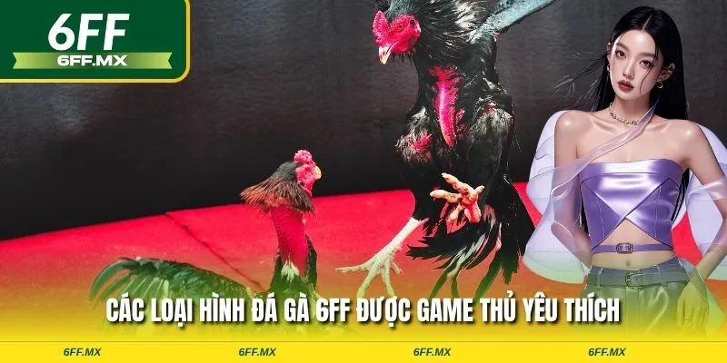 Các loại hình đá gà 6FF được game thủ yêu thích