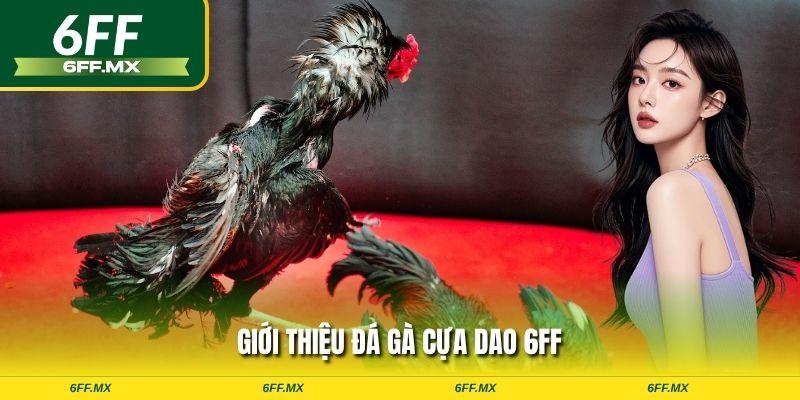 Đá gà cựa dao tại 6FF là hình thức thi đấu mà mỗi chiến kê được trang bị một chiếc cựa bằng sắt hoặc thép sắc lẹm, uốn cong như hình mũi dao vào chân.